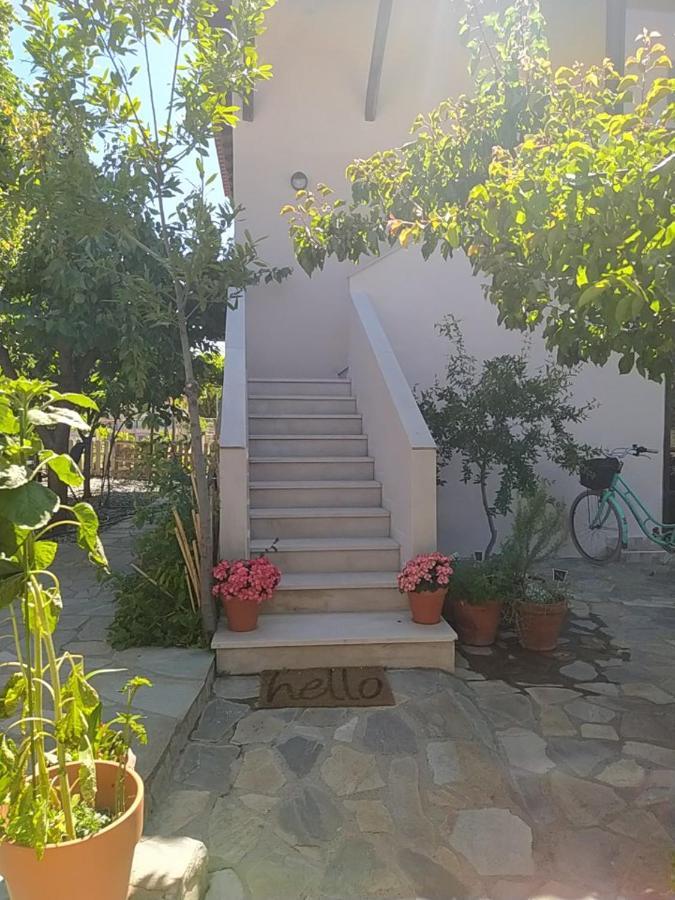 Stayatlenas Nikiti  Dış mekan fotoğraf